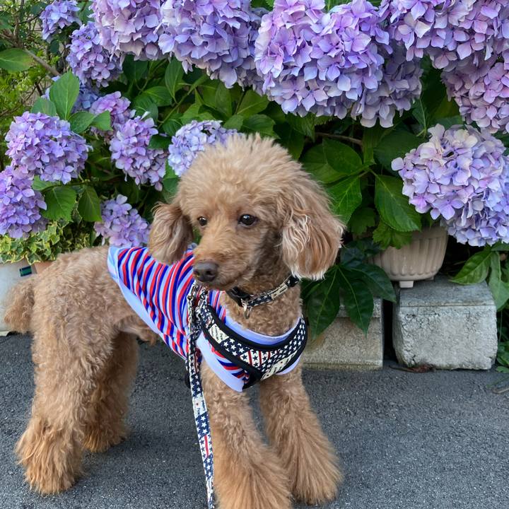 103bccc7 d7c2 46df 9d30 1a690521da50 1703065318212