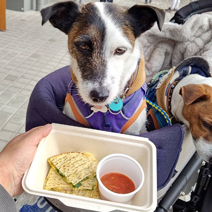 103c33ab 33b7 4162 a1ae c5df125b153e 1676207429949