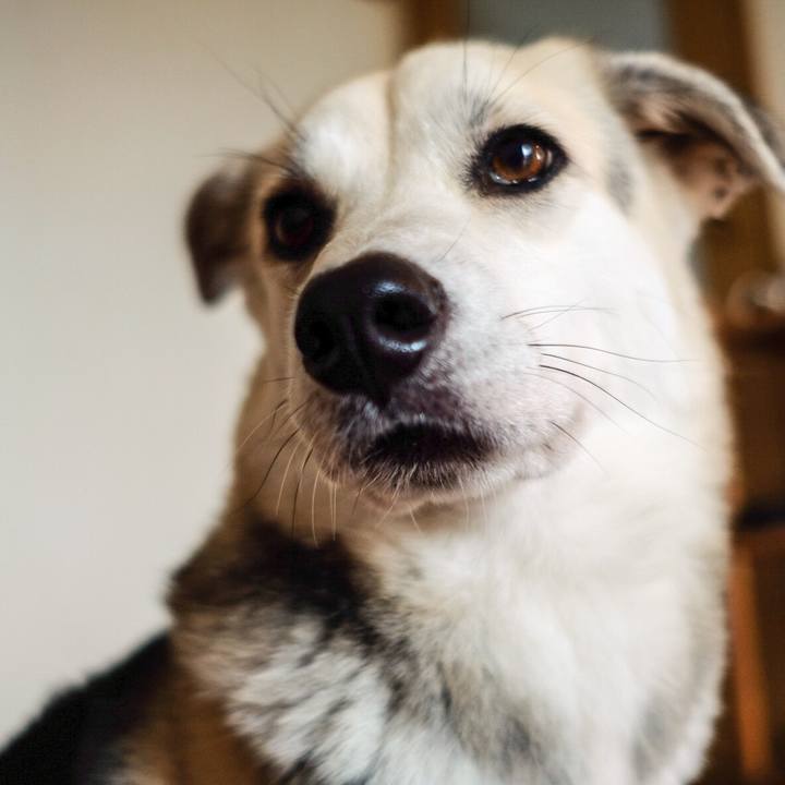 103c7291 a7c4 4e41 99dc 6211a1ca0407 1545110402531