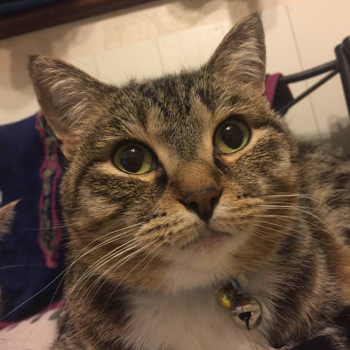 103cbf2f d917 47dd 9fba 779dec977978 1549368823595