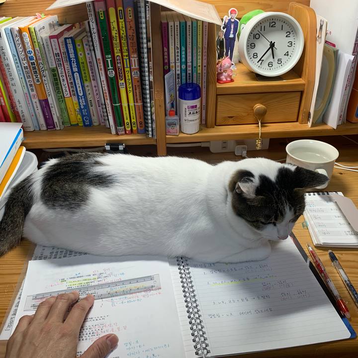 103cc882 36c6 4f8a 91b0 35aeeefdf011 1635544152379