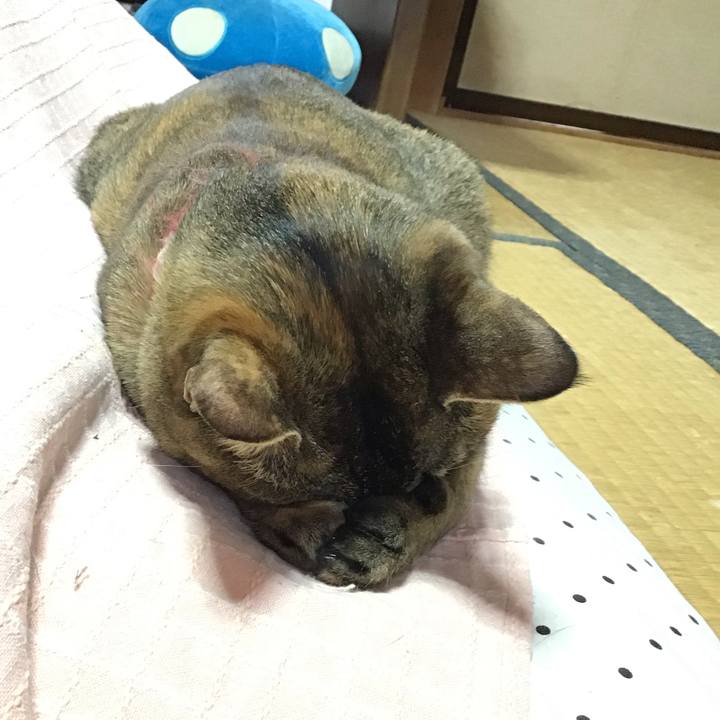 103ccba9 6cb3 4fc8 bae1 7f723b66adb6 1610339784805