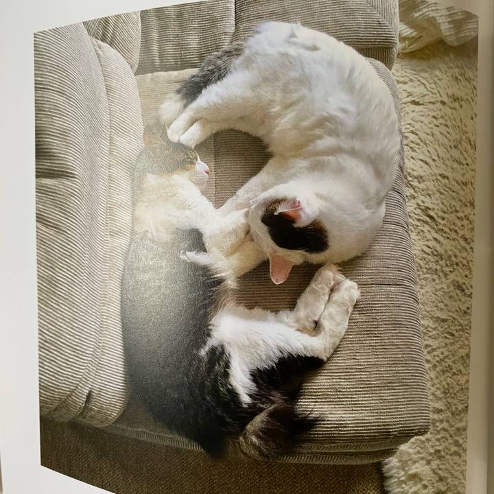 103cfaed 94f4 42fc a1c9 c225576eef80 1665267084457