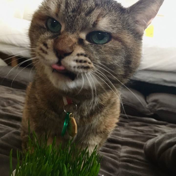 103d380e 44a0 4df3 8f77 fee7328f002b 1520563726661