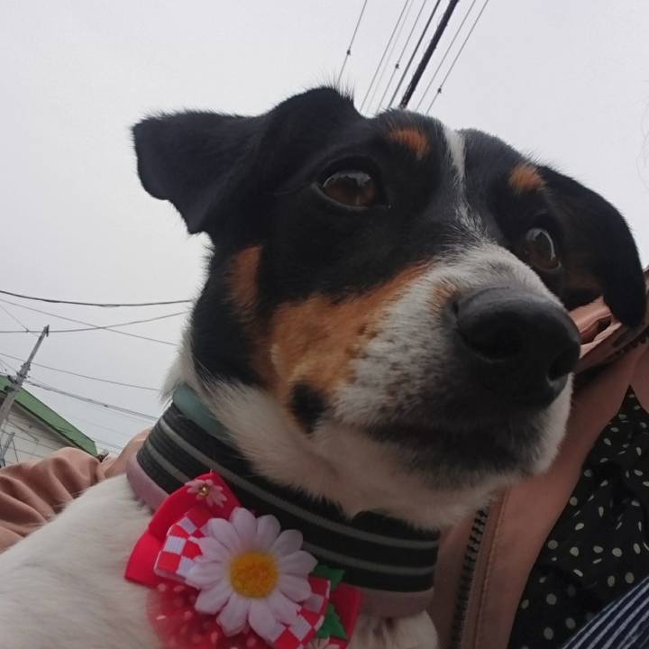 103d6077 484e 41e1 ac58 1116193bde38 1557822801662