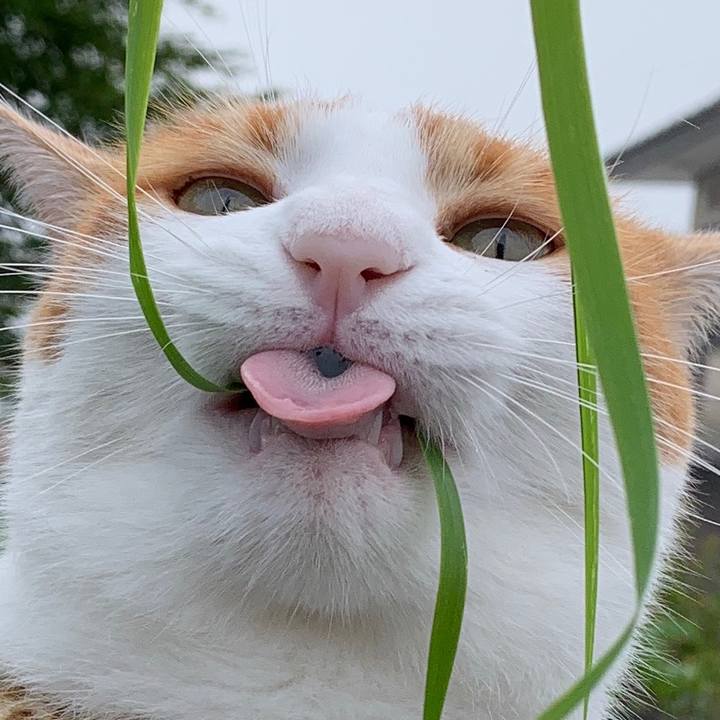 103d7304 da2e 430b 8c0b 8f03b8d80957 1597876119005