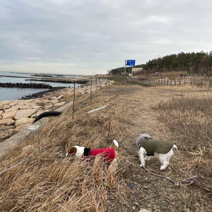 103e30f3 ac3f 41f2 b8d9 22a5beb0b627 1643068179040