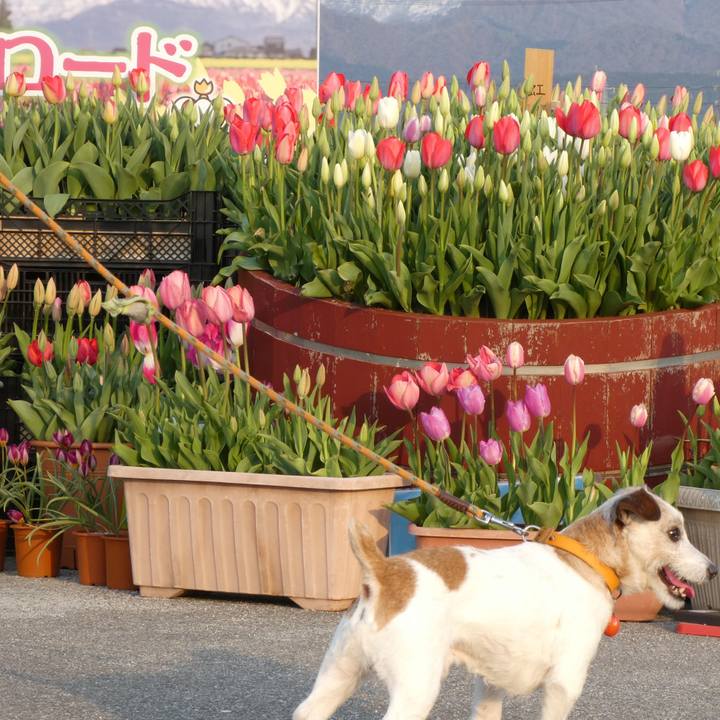 103e39b1 415c 4ad5 b8b1 89120d586ec4 1587292013995