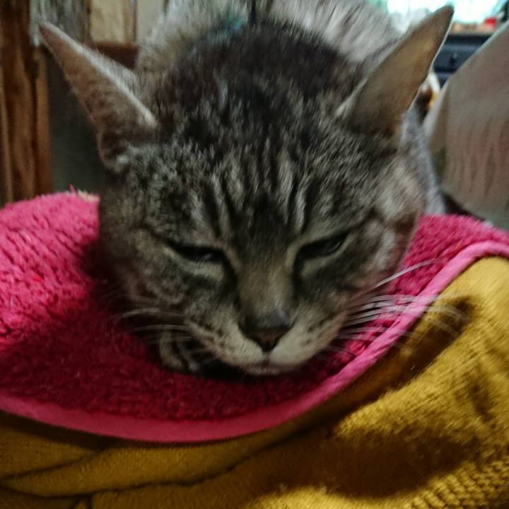 103e3c2d b585 4ed9 aada a49b6bcf7fa6 1552558917157