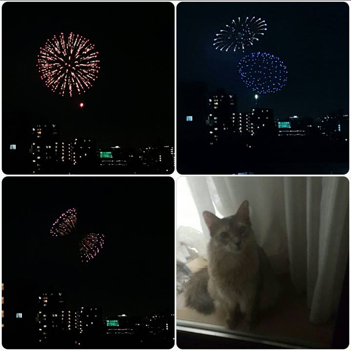 103e5829 42ff 4bdf 9df9 7689d87eed88 1564658259110