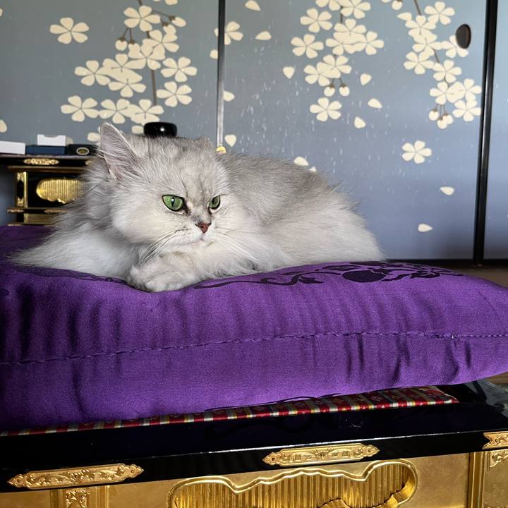 103e593d 9155 4e65 8d06 9706ca87d849 1653191962005