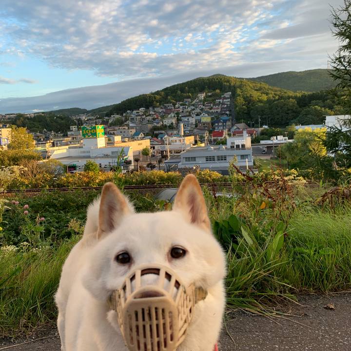 103e87b1 600d 4acb 8bc0 e303bde50d08 1599512742095