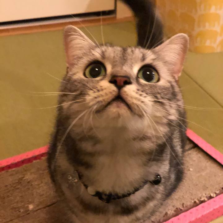 103ea422 7319 4fd2 851e 501e8a25e7fc 1571488660322