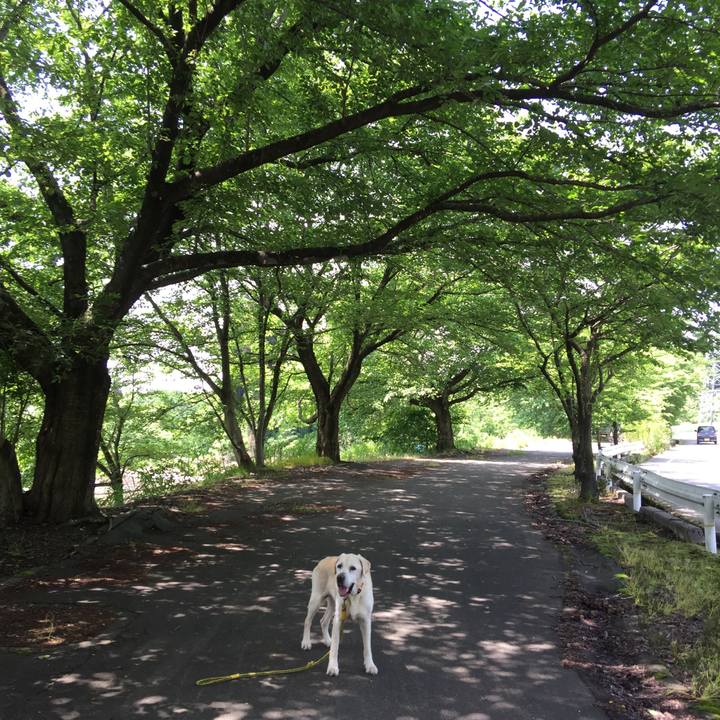 103f1bd3 ccd1 4726 a513 f41f3c14a563 1526353012648