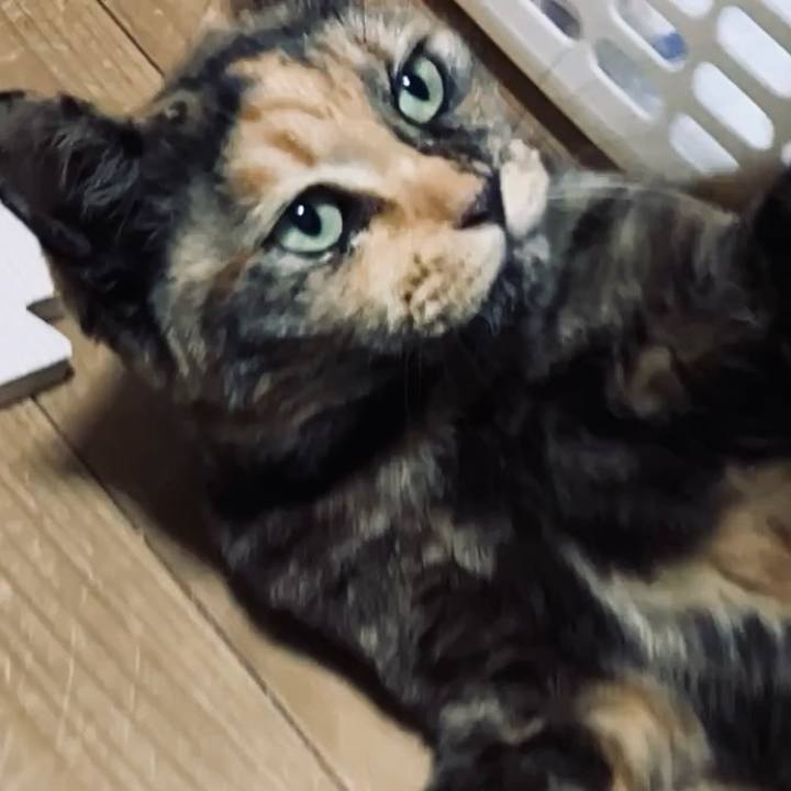 103f264c 0d62 4e13 bab4 4723c9bdebea 1742936606060