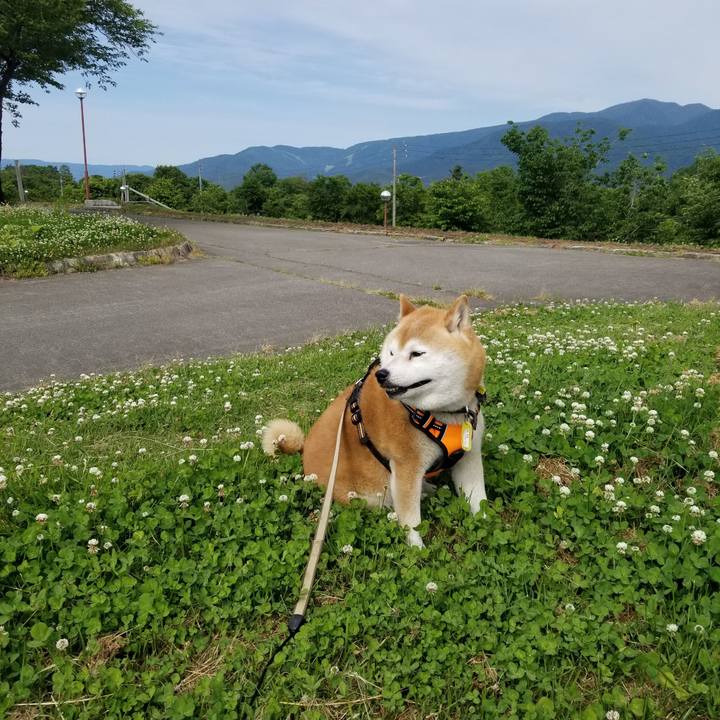 103f2bbf fd8f 4906 ac74 ee9f6d3d5a36 1654409177470