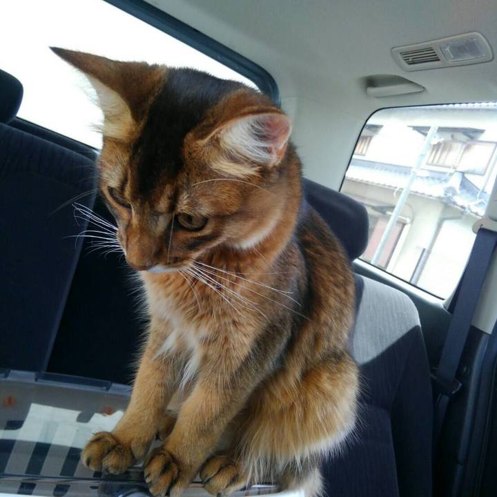 103f3258 4ca9 48d5 ba7f 86a1977a4207 1565580993960