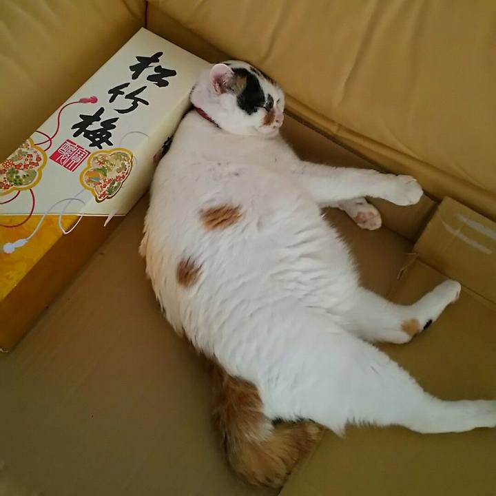 103f5db9 a6c7 45d8 a4c4 c717e78250de 1691278846544