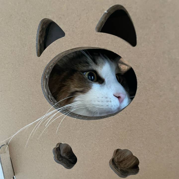 103f64dd ed2a 4b55 90e7 0e8a1ae6fa41 1654459482842