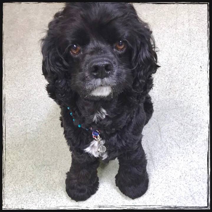 103fb3c9 7055 4dc7 a8bb 96cebab12194 1541911153538