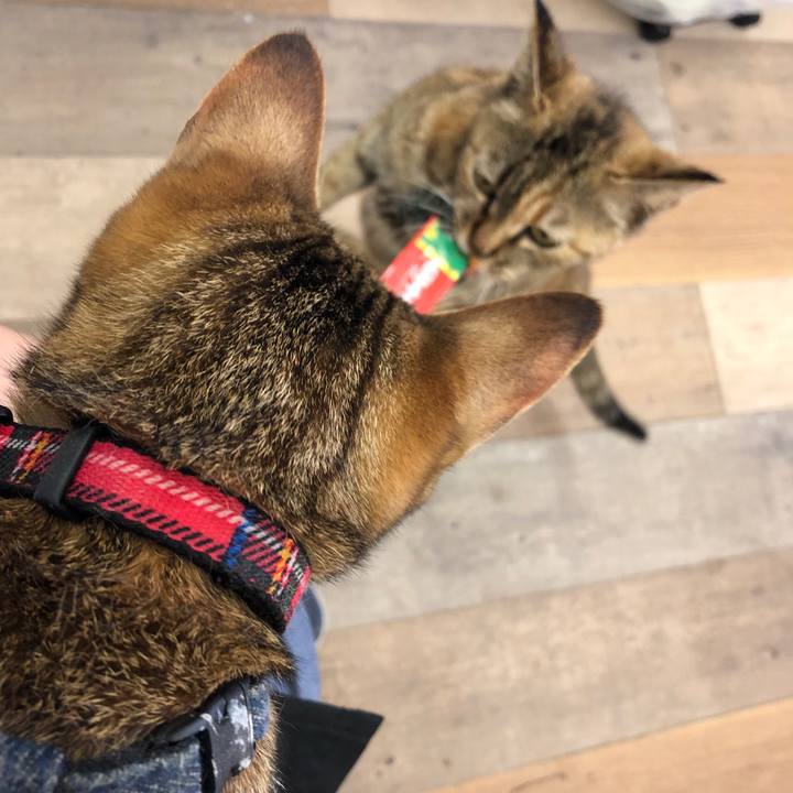 103fc963 c595 4c2b aa6f cadd9f760b43 1590976810856