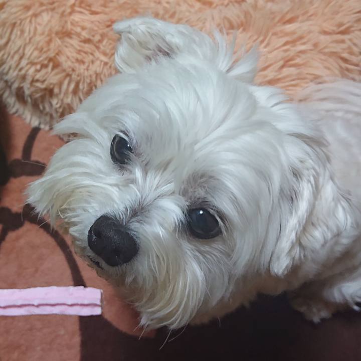 103fd32e f197 4713 ac35 e7fb6bc9ab54 1619791995462