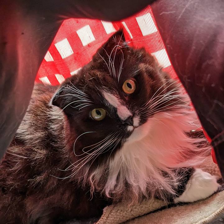 10402261 2ab0 41ea b96f 44df53ec15cc 1676948175476