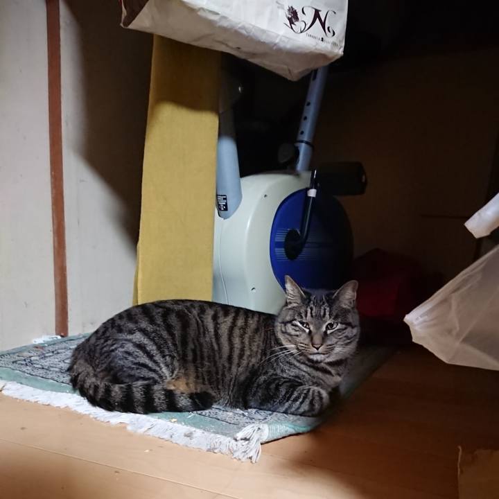 104023b6 f406 427d 8cd9 7b3ab1af7fb0 1642676689685