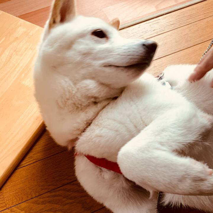 104046de a764 4ced 93b6 f54e470c555a 1605243969288