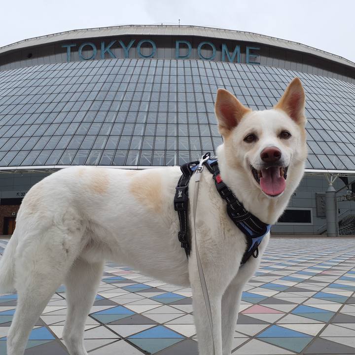 10404dc9 0caf 4432 bdc2 727a8877fbde 1654992008515