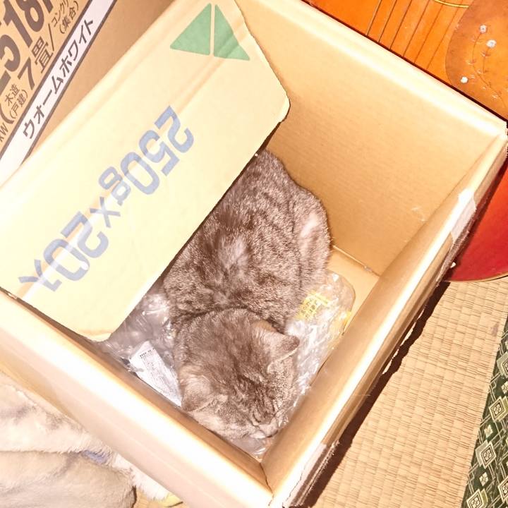 10405d8d 1ae3 4a00 a15c 62010bece27d 1590698750983