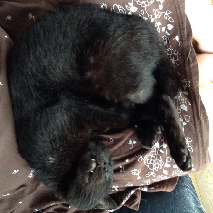 10406af4 b0c6 4f7f 8912 284b2f6097ce 1534230098691