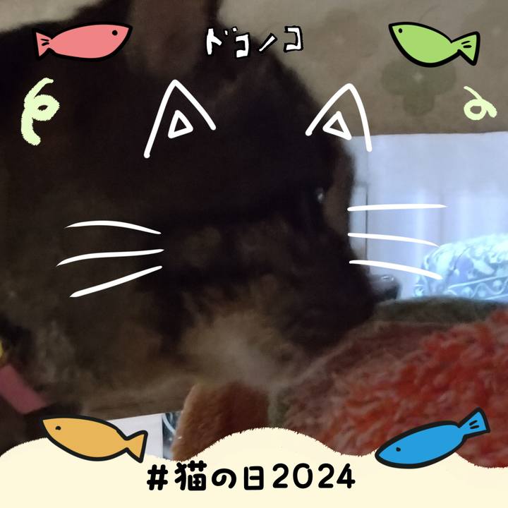 10407b79 4041 4a1c 969a d040c101448d 1708558686920