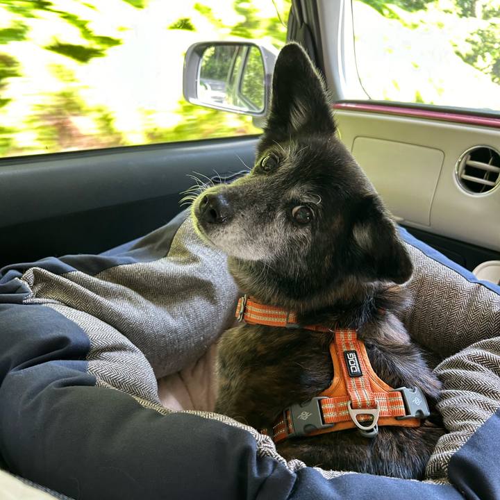 10408be0 5997 46e1 8ac6 60b8b6de3197 1719708638029