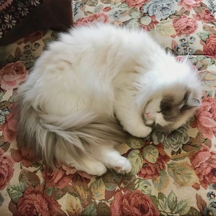 104096da 3166 4617 a809 6f449c35ade4 1588750172126