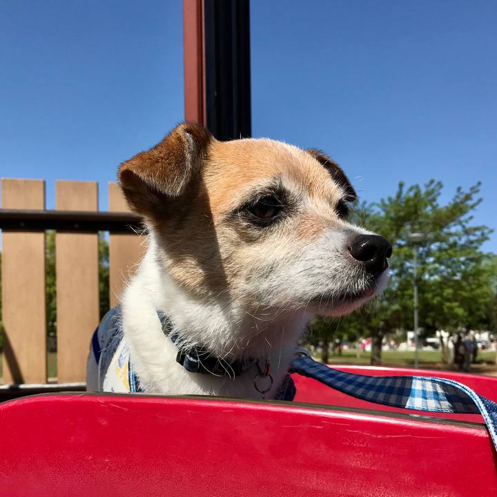 1040c0e7 70af 4940 8e15 b64e1a55d84b 1618447504491