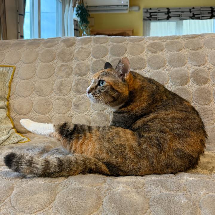 10410353 a31f 4492 a1d9 7d04ba9e7556 1767739862811