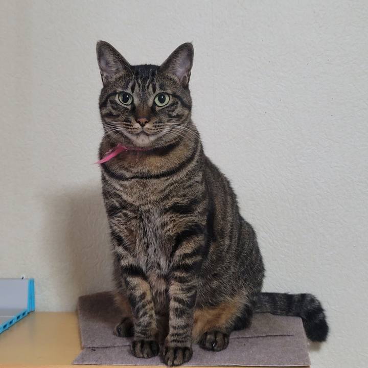 10414850 9396 48de a431 0c8ea4070683 1632659362067