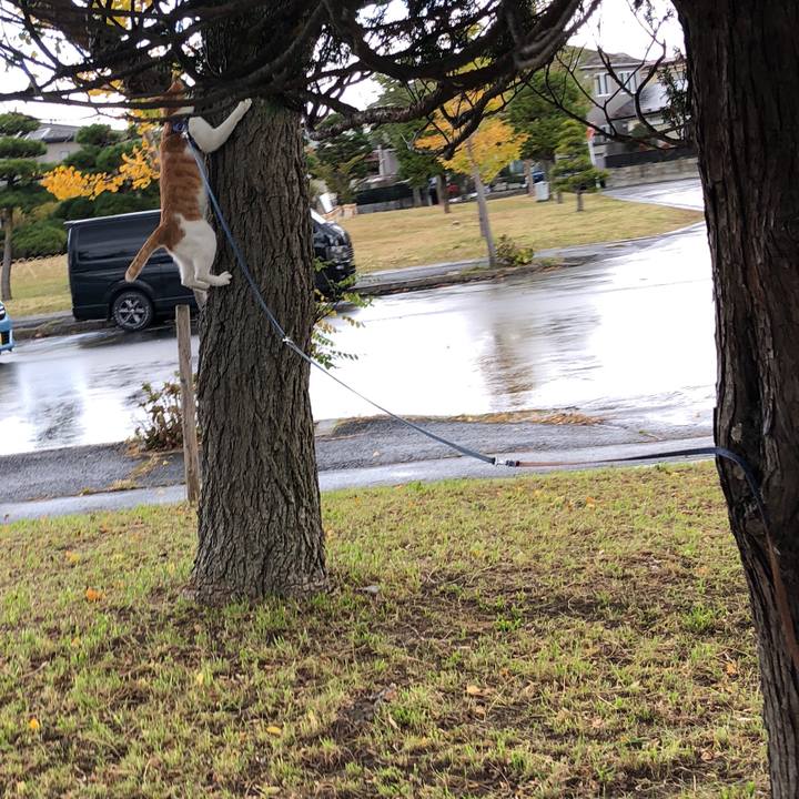 10419190 b06b 4a92 970b 23270ead483f 1540962424869