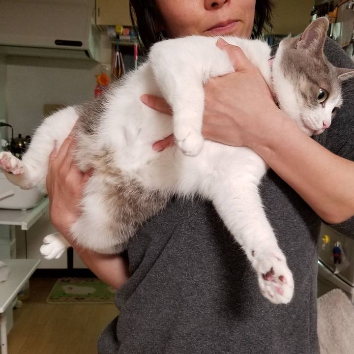 1041a203 6e96 4aa0 9350 bf137bc0929c 1583450948619