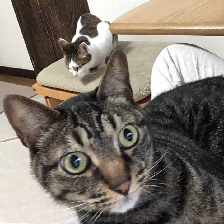 1041a826 0922 4f35 96d8 419893399362 1528714096673