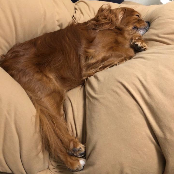 1042214e 3f91 4ab5 aba8 892f4254410b 1639661840297