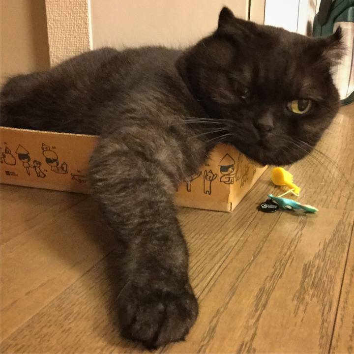 10422535 63e5 42a7 b0d6 1caed199effa 1507860307263