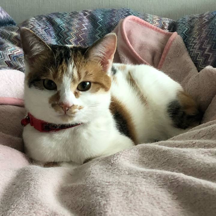 104251d4 04d1 4aa6 a19f e0d1330474fb 1577933194034