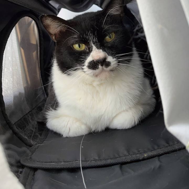 10426457 39c0 403c b6b1 7468e93bdd04 1690103518045