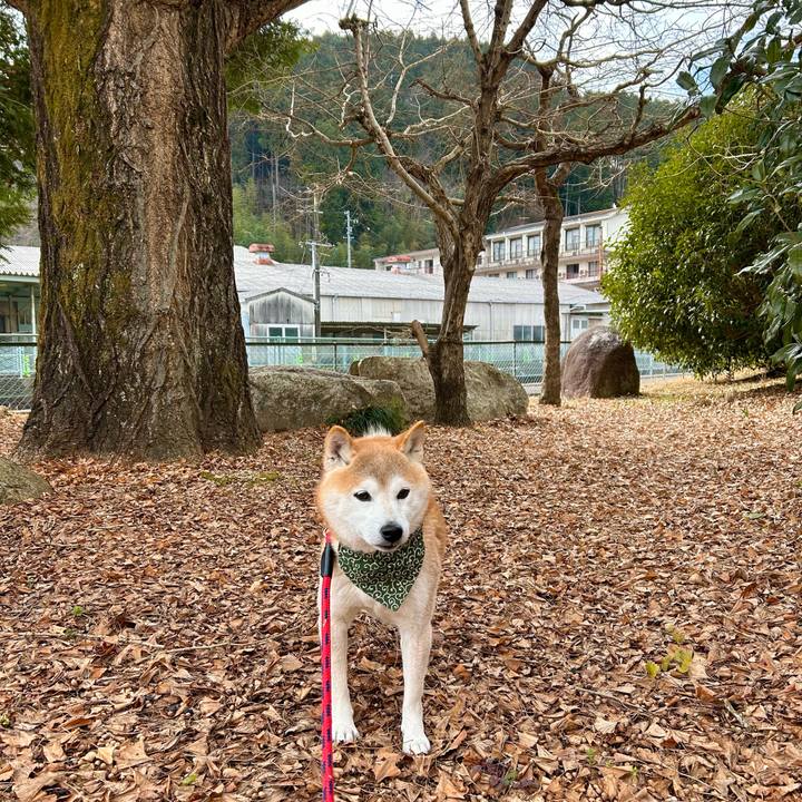 10426af5 2e57 4355 9cac 0daa3cb3db1b 1705230942269