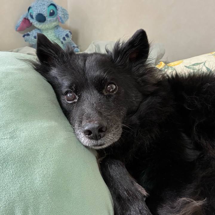 104270d6 660c 4ac0 8700 0462a5be14e0 1760055201324