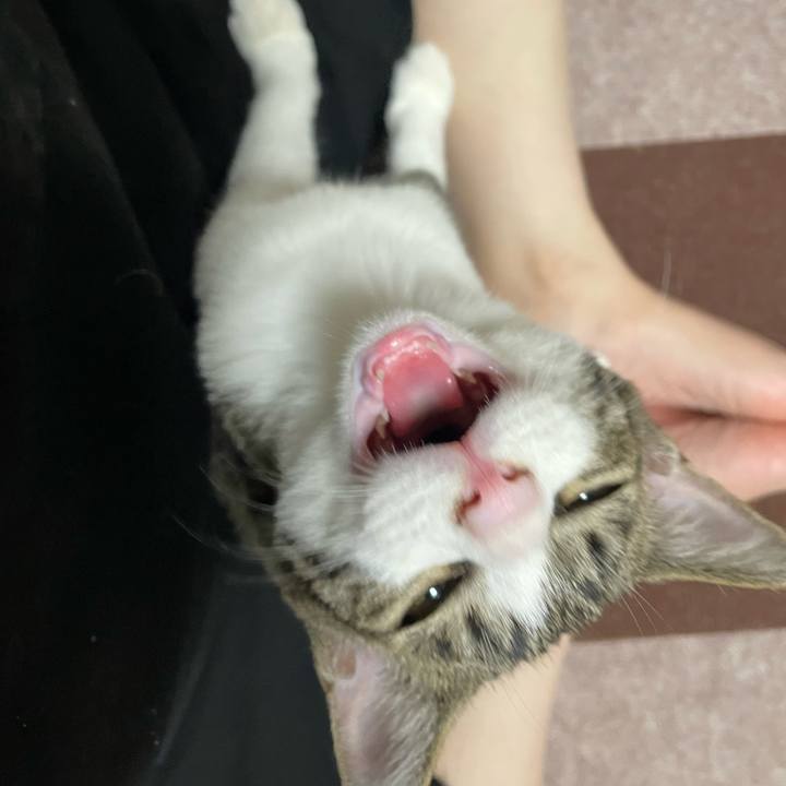 104291d3 982c 4409 bacf e4f3454c310a 1726929234997