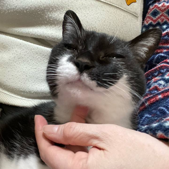 1042c173 3f4c 48ad aedd 70283e256b15 1709196338506