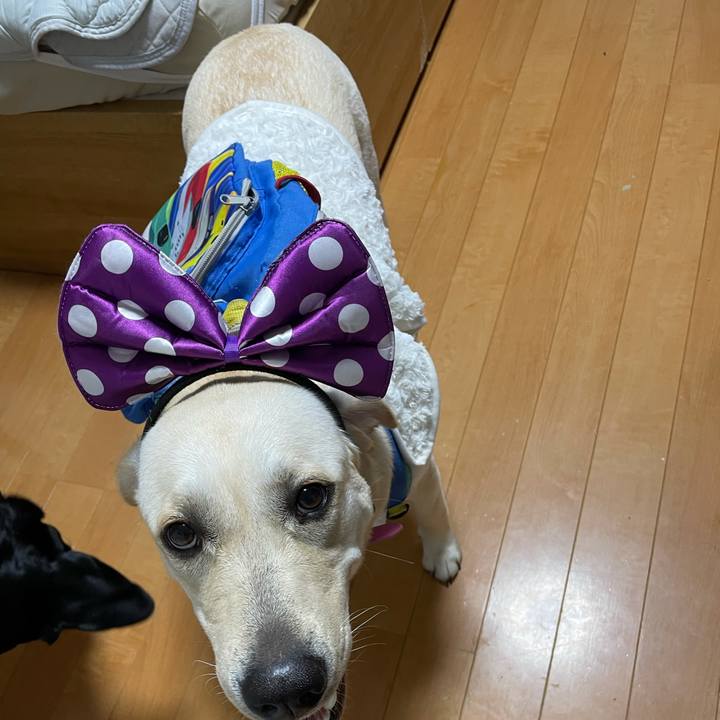 1042f8ac 598e 49d2 9729 f65eeb673707 1634385085300